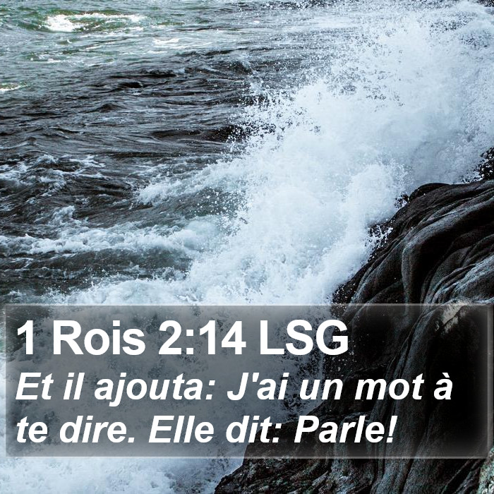 1 Rois 2:14 LSG Bible Study