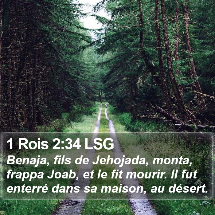 1 Rois 2:34 LSG Bible Study