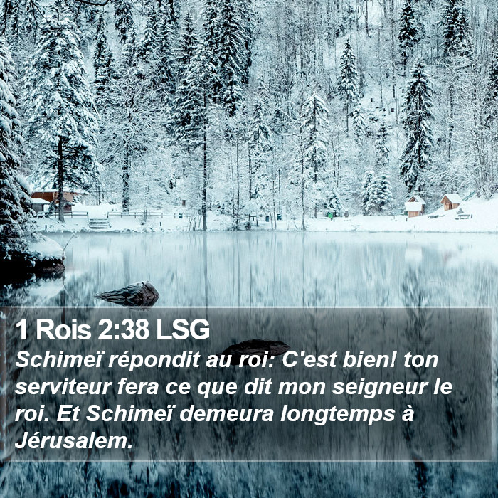 1 Rois 2:38 LSG Bible Study