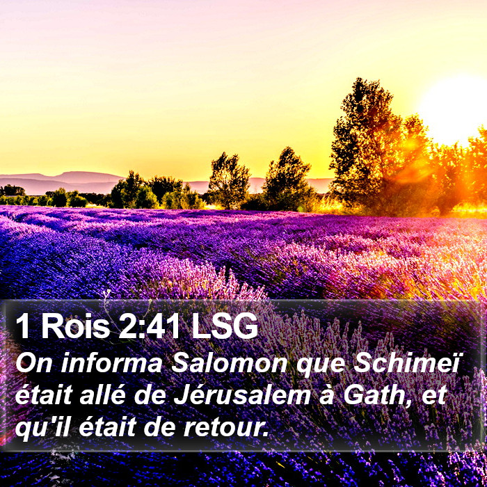 1 Rois 2:41 LSG Bible Study