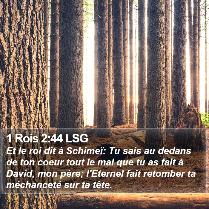 1 Rois 2:44 LSG Bible Study