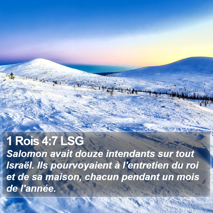 1 Rois 4:7 LSG Bible Study