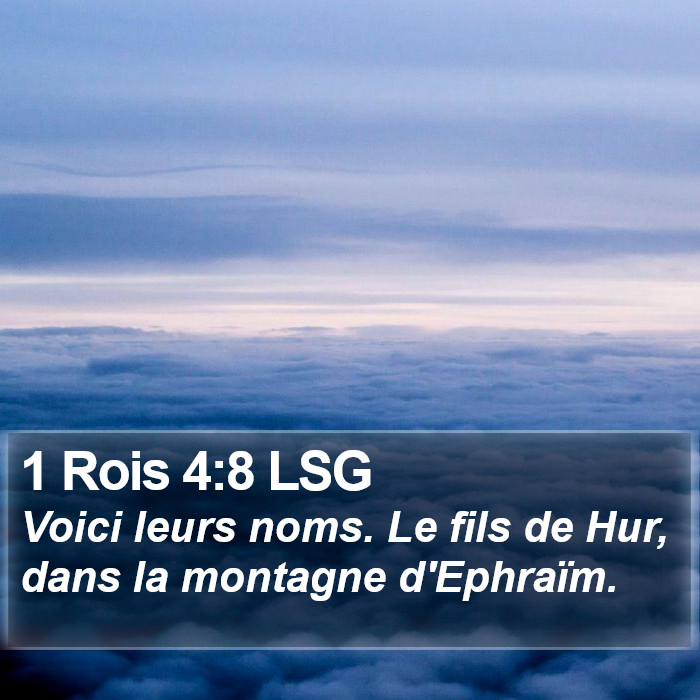 1 Rois 4:8 LSG Bible Study