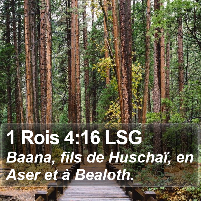 1 Rois 4:16 LSG Bible Study