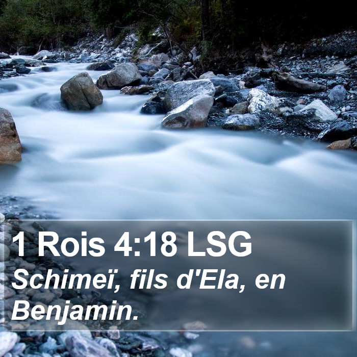 1 Rois 4:18 LSG Bible Study