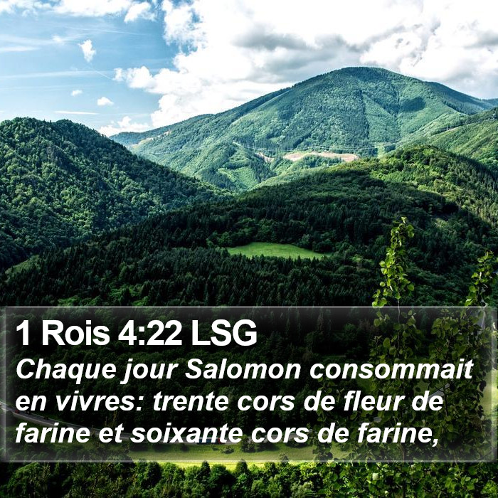 1 Rois 4:22 LSG Bible Study