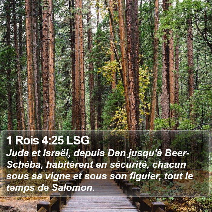 1 Rois 4:25 LSG Bible Study