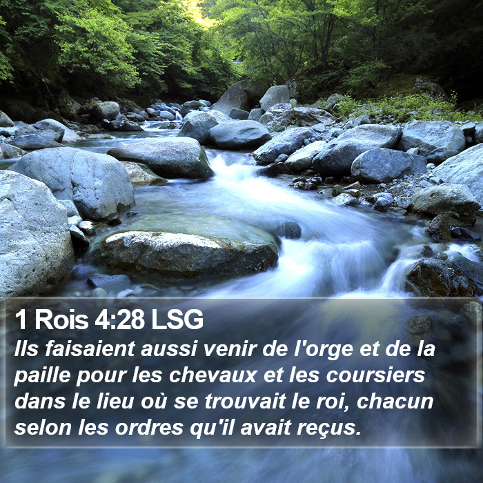 1 Rois 4:28 LSG Bible Study