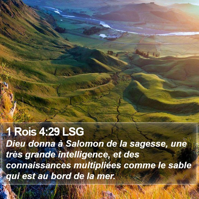 1 Rois 4:29 LSG Bible Study
