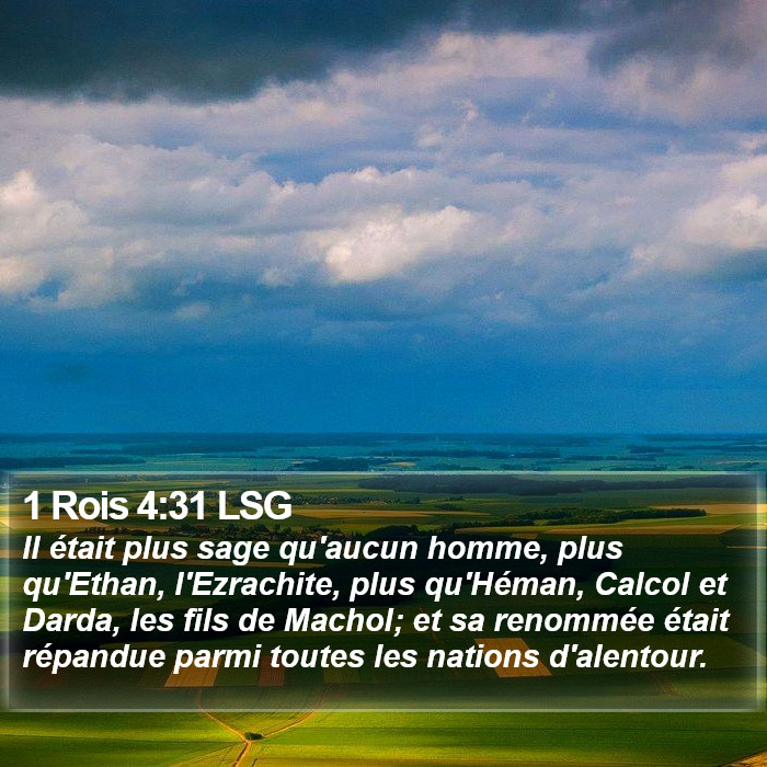 1 Rois 4:31 LSG Bible Study