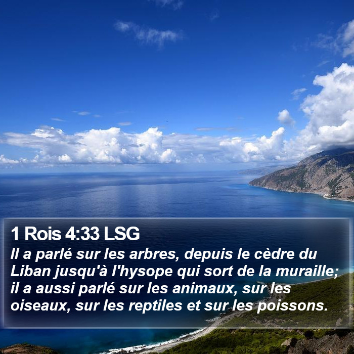 1 Rois 4:33 LSG Bible Study