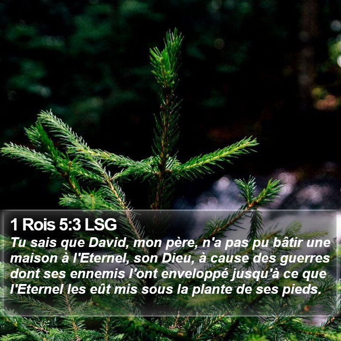 1 Rois 5:3 LSG Bible Study
