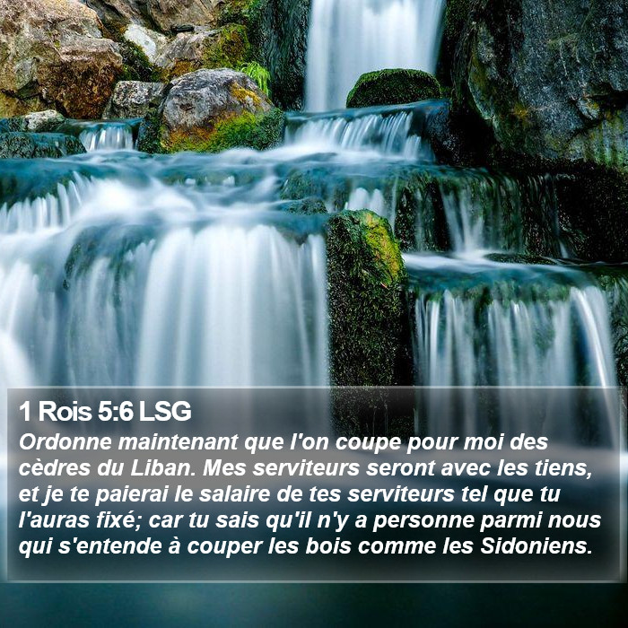1 Rois 5:6 LSG Bible Study