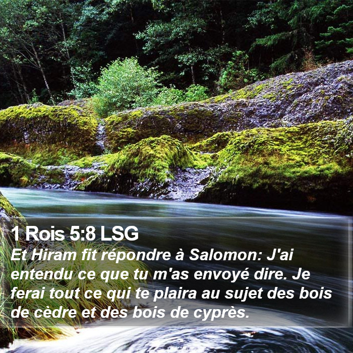 1 Rois 5:8 LSG Bible Study
