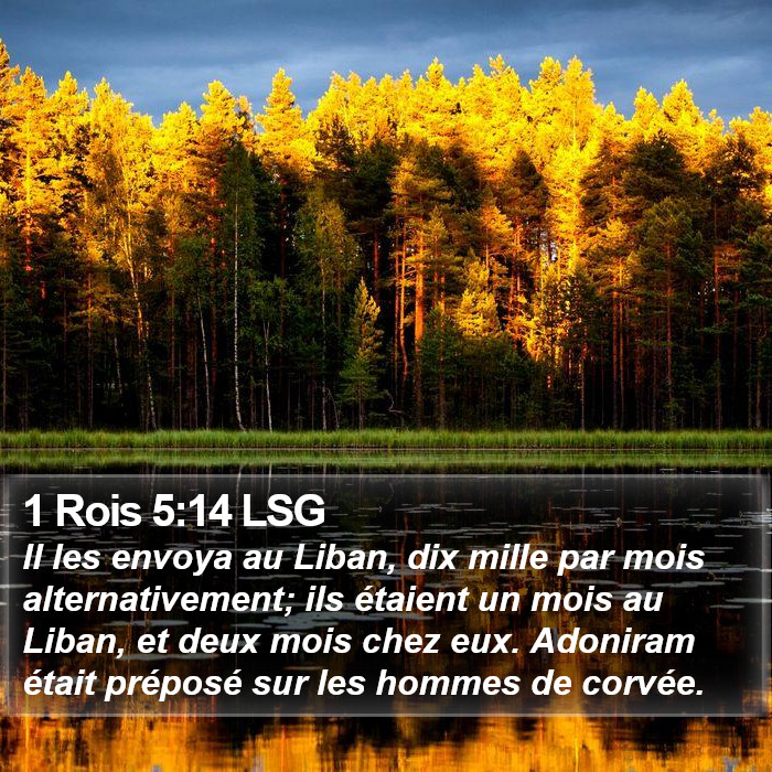 1 Rois 5:14 LSG Bible Study