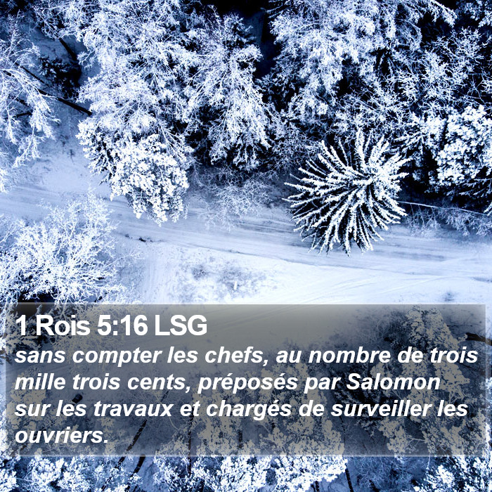 1 Rois 5:16 LSG Bible Study