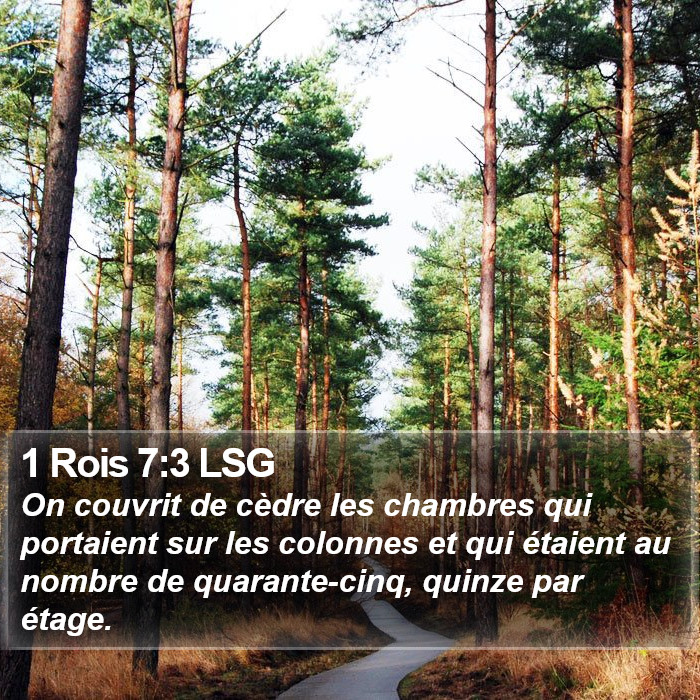 1 Rois 7:3 LSG Bible Study