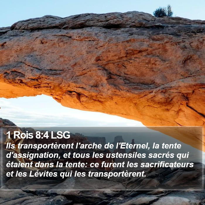 1 Rois 8:4 LSG Bible Study