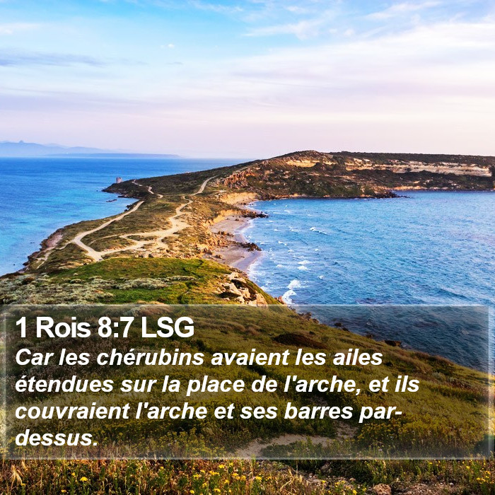 1 Rois 8:7 LSG Bible Study