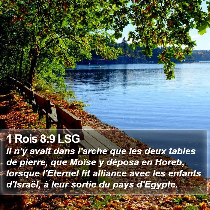 1 Rois 8:9 LSG Bible Study
