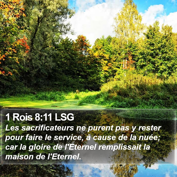 1 Rois 8:11 LSG Bible Study
