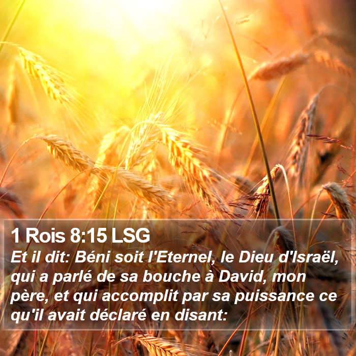 1 Rois 8:15 LSG Bible Study