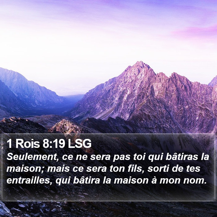 1 Rois 8:19 LSG Bible Study