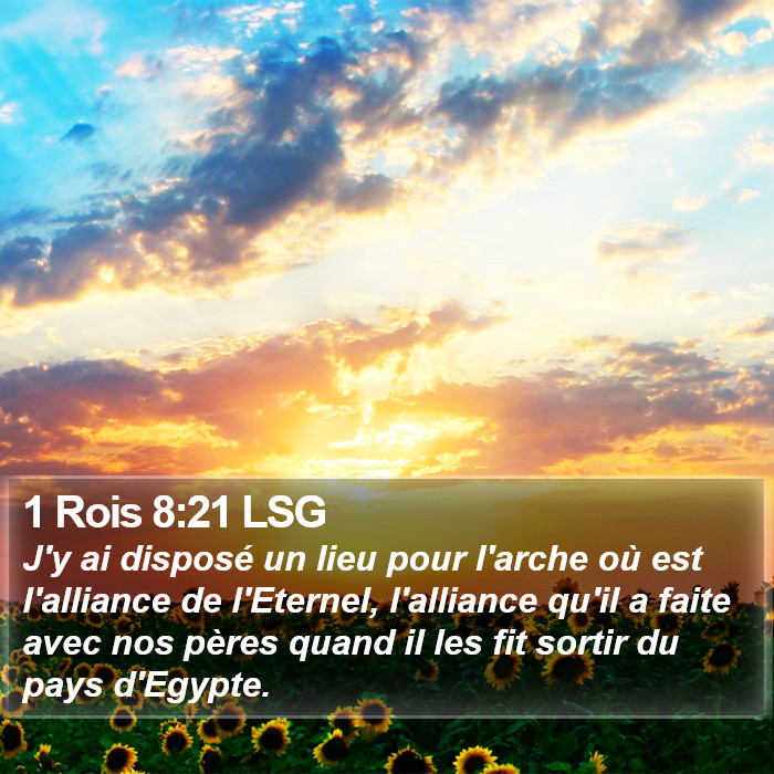1 Rois 8:21 LSG Bible Study