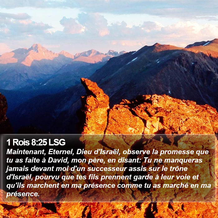 1 Rois 8:25 LSG Bible Study