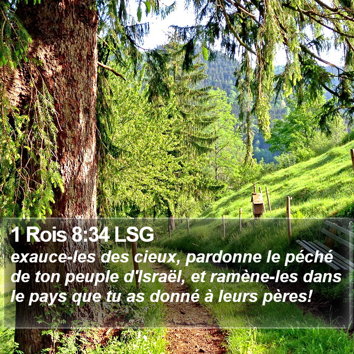 1 Rois 8:34 LSG Bible Study