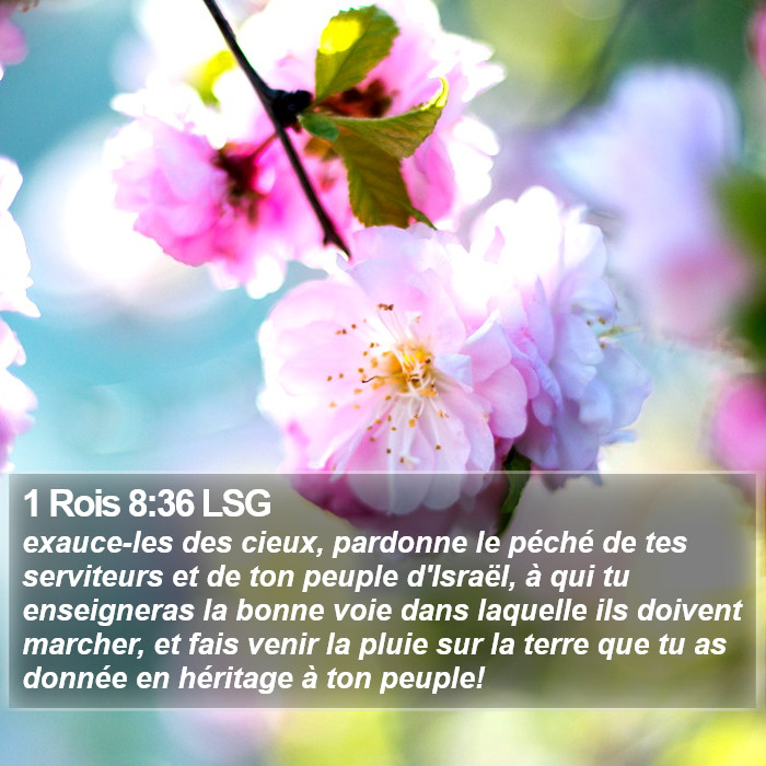 1 Rois 8:36 LSG Bible Study