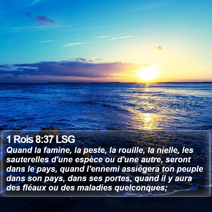 1 Rois 8:37 LSG Bible Study
