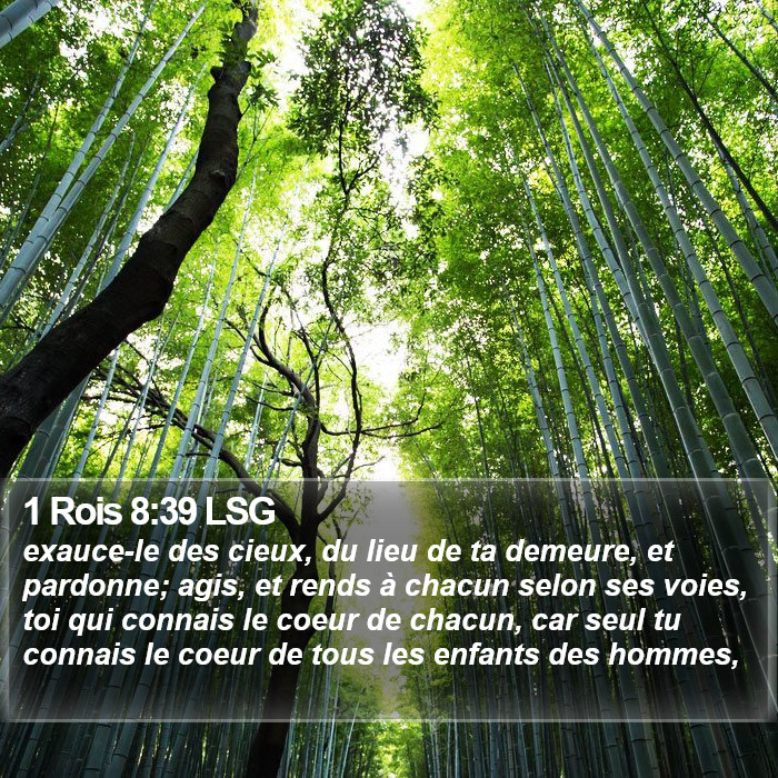 1 Rois 8:39 LSG Bible Study