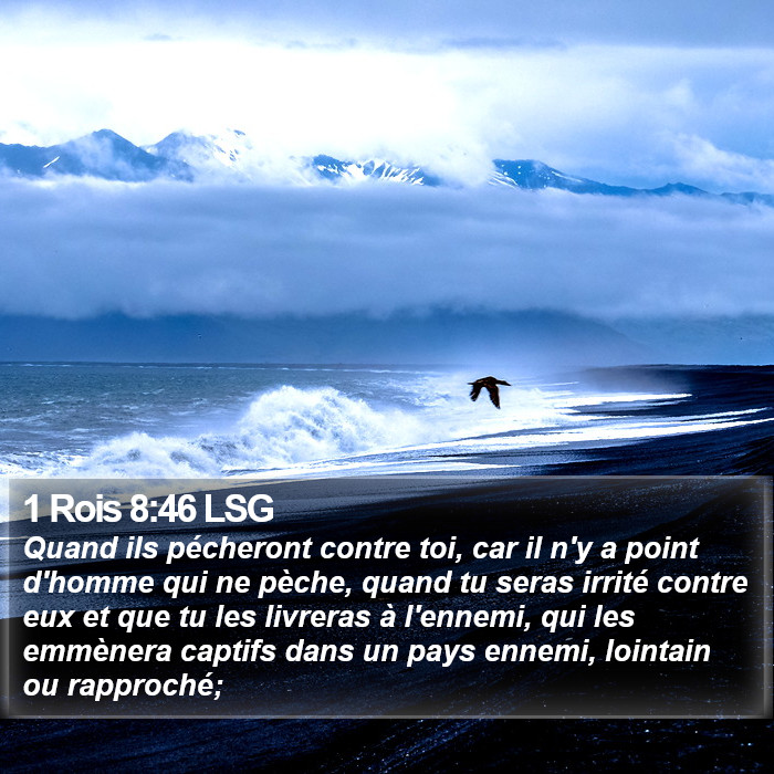 1 Rois 8:46 LSG Bible Study