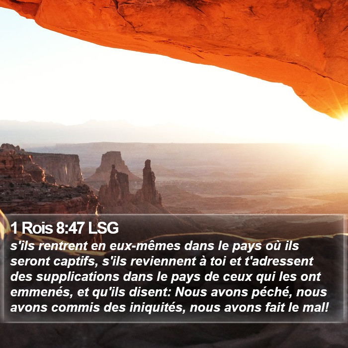 1 Rois 8:47 LSG Bible Study