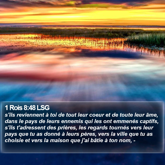 1 Rois 8:48 LSG Bible Study