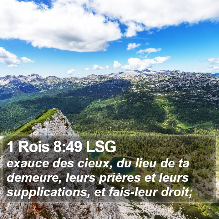 1 Rois 8:49 LSG Bible Study