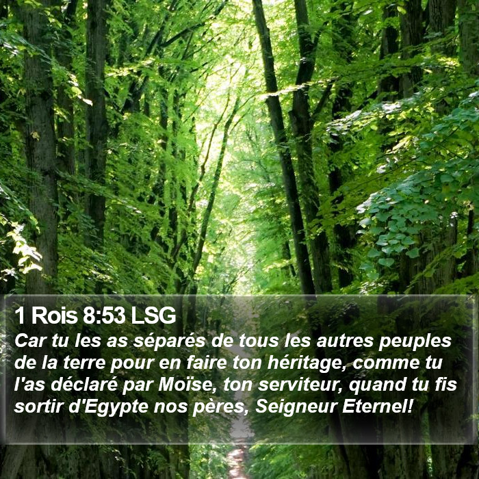 1 Rois 8:53 LSG Bible Study