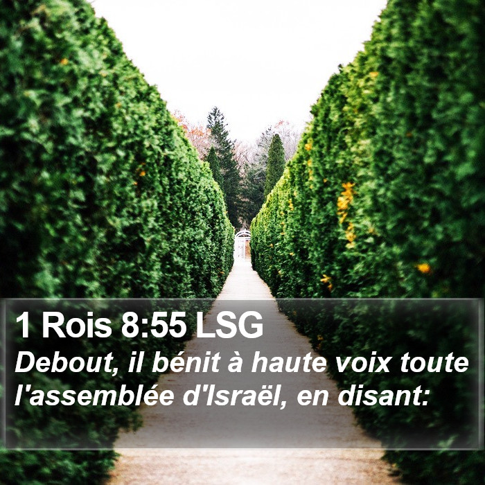 1 Rois 8:55 LSG Bible Study