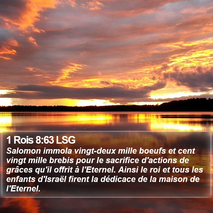 1 Rois 8:63 LSG Bible Study