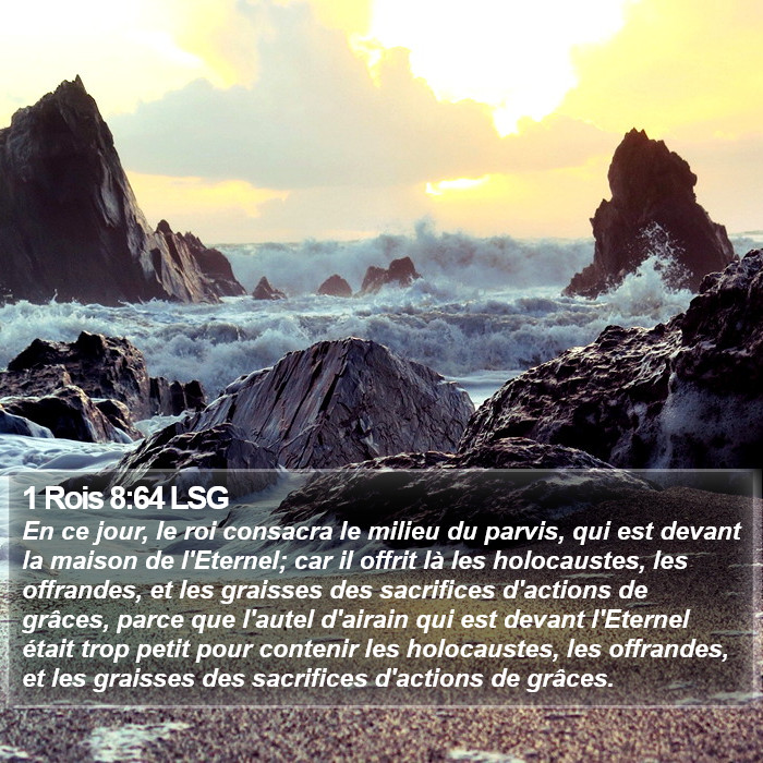 1 Rois 8:64 LSG Bible Study