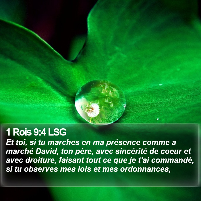 1 Rois 9:4 LSG Bible Study