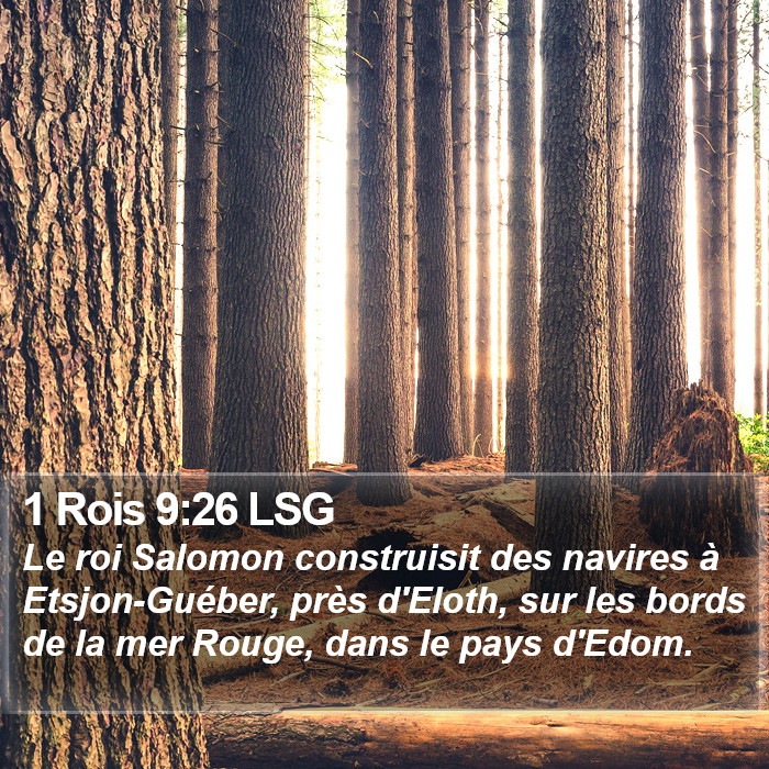 1 Rois 9:26 LSG Bible Study
