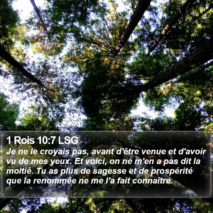 1 Rois 10:7 LSG Bible Study