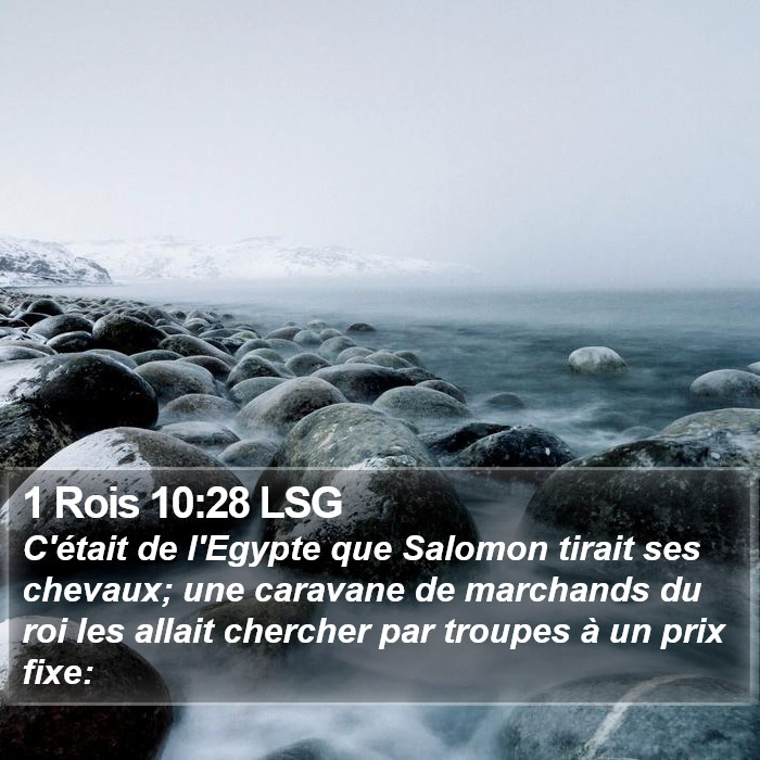 1 Rois 10:28 LSG Bible Study