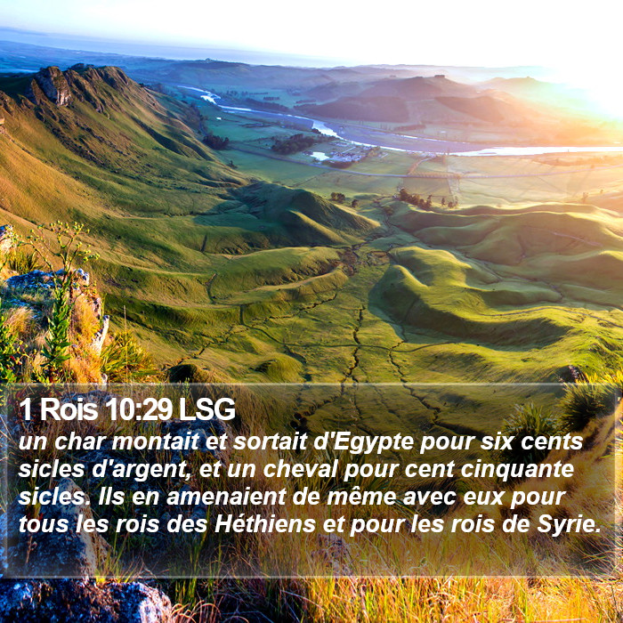 1 Rois 10:29 LSG Bible Study