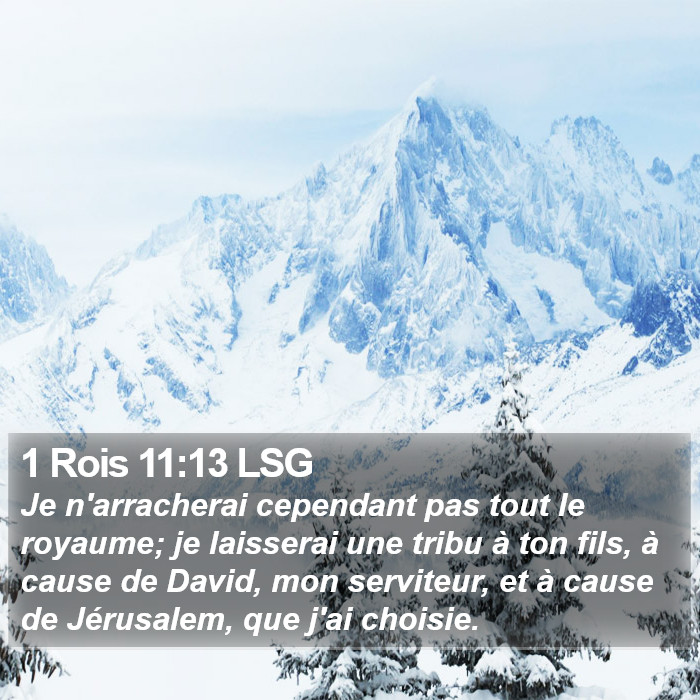 1 Rois 11:13 LSG Bible Study