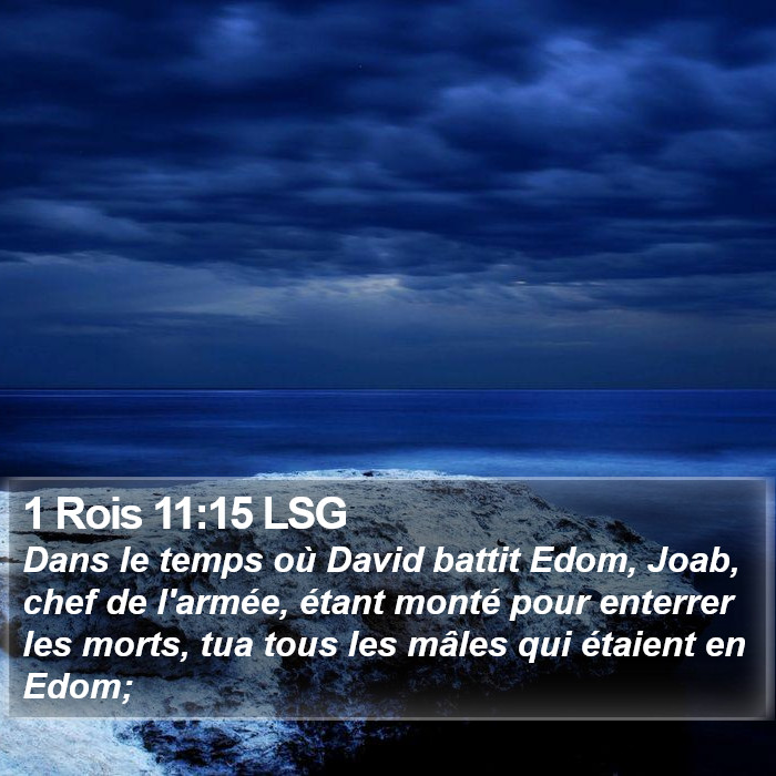 1 Rois 11:15 LSG Bible Study