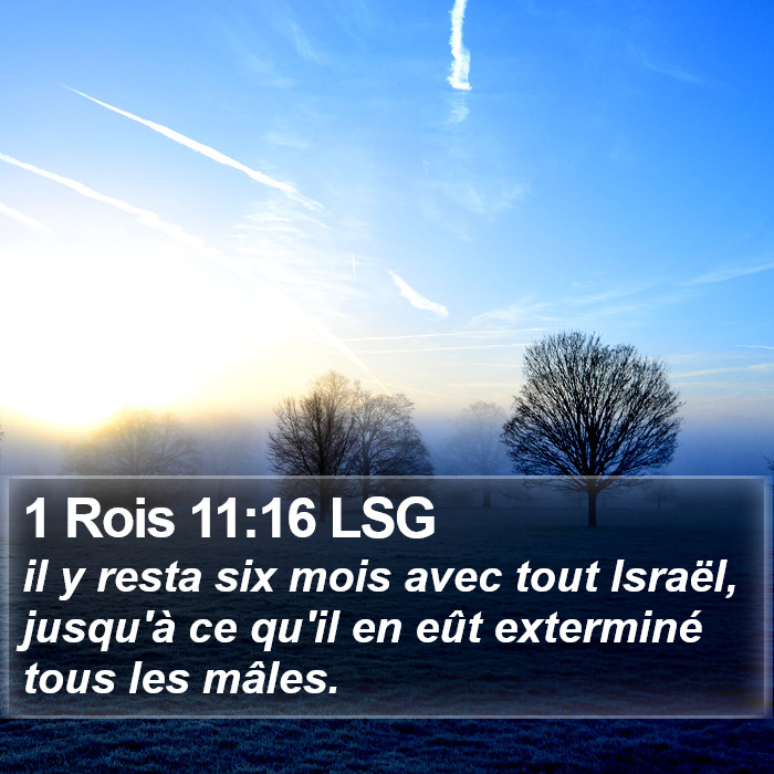 1 Rois 11:16 LSG Bible Study