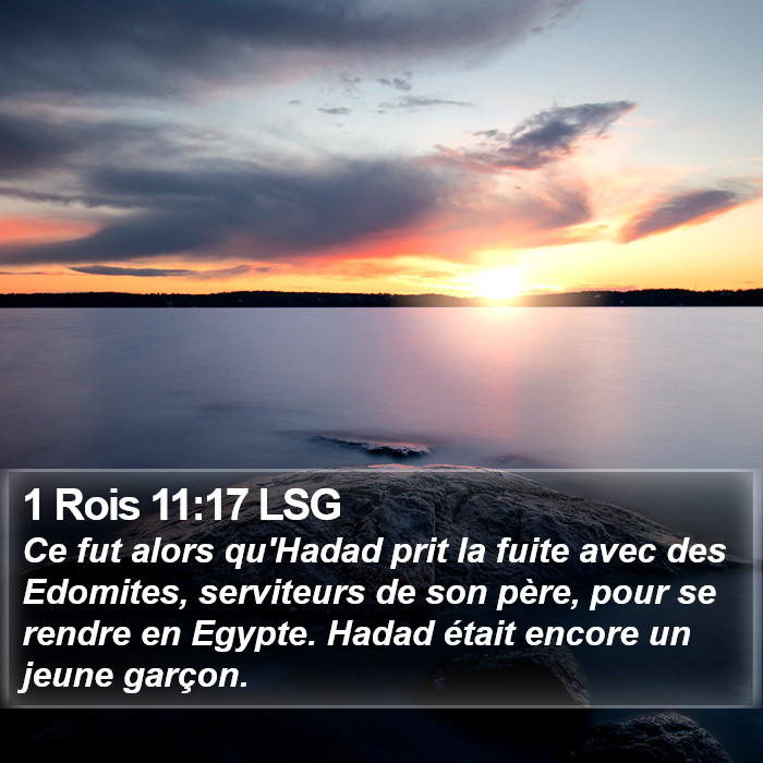 1 Rois 11:17 LSG Bible Study